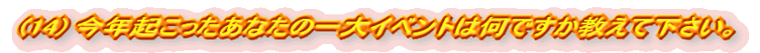 (14) NNȂ̈Cxg͉łĉB