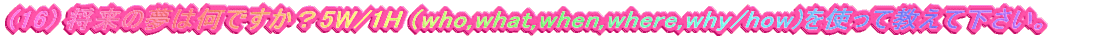 (16) ̖͉łH5W/1H (who,what,when,where,why/how)gċĉB